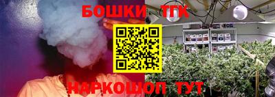 ГАЛЛЮЦИНОГЕННЫЕ ГРИБЫ Камышлов