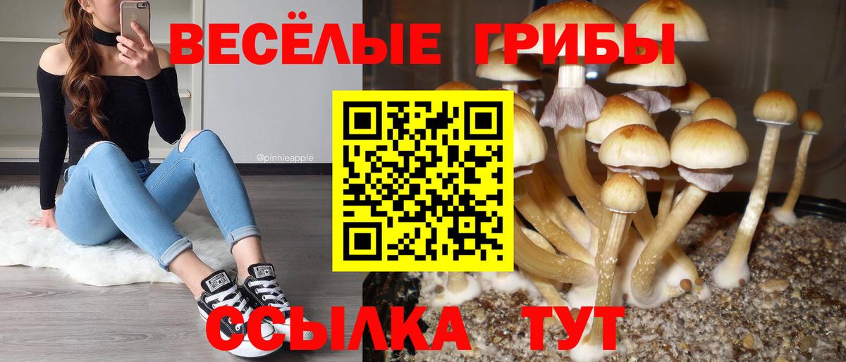 Псилоцибиновые грибы ЛСД Лабинск